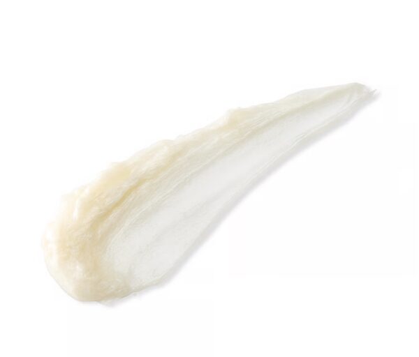 Victoria’s Secret Coconut Milk Rose Cream Body Wash - Imagem 3
