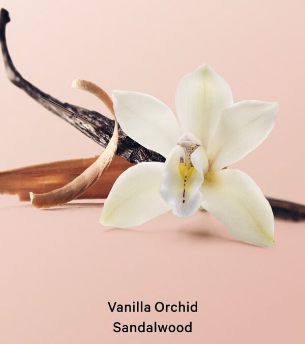 Victoria’s Secret Vanilla Orchid Sandalwood Cream Body Wash, 296ml - Imagem 3